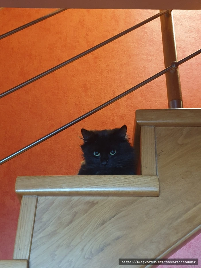 SE-9fc00265-05ca-4d6a-9fca-af4196088939.jpg?type=w773