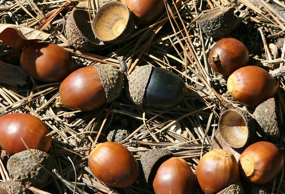 2019-04-03 20;06;08.PNG