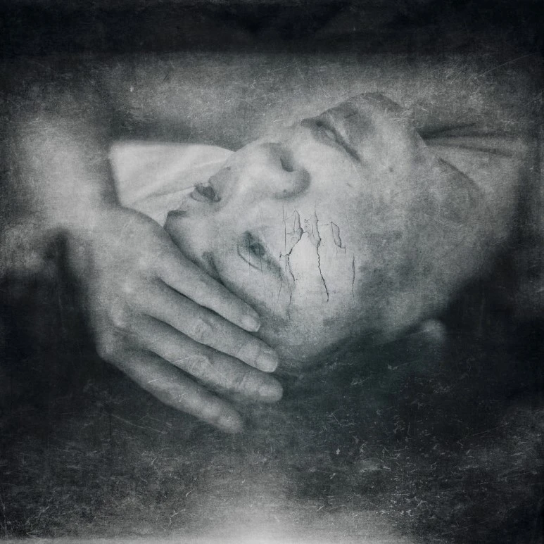 24531375796_9a7ab5be99_b.jpg?type=w773