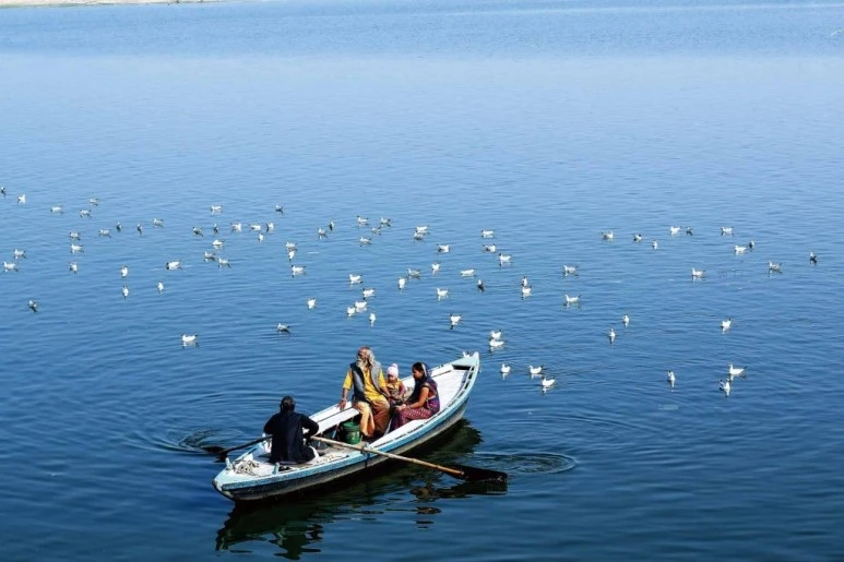 india-1024x682.jpg?type=w773