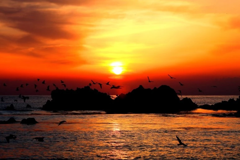 image_9895835161530021204443.jpg?type=w773