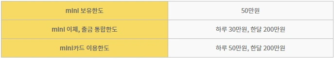 미니카드 한도.PNG