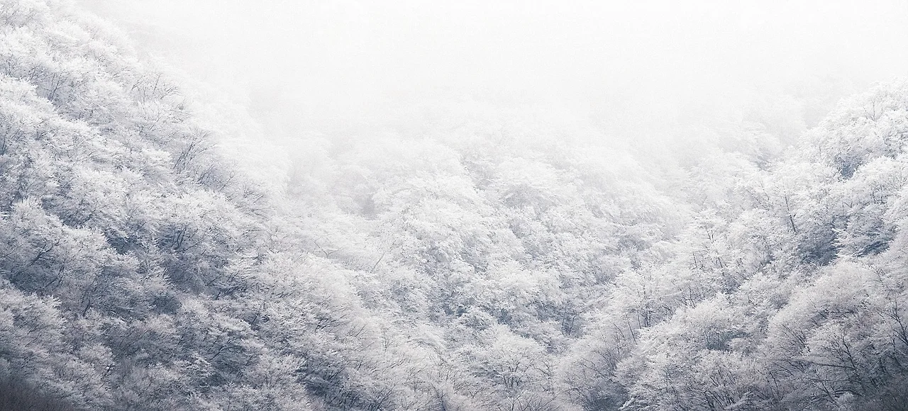 DSC01764_%EB%B3%B5%EC%82%AC.jpg?type=w1600