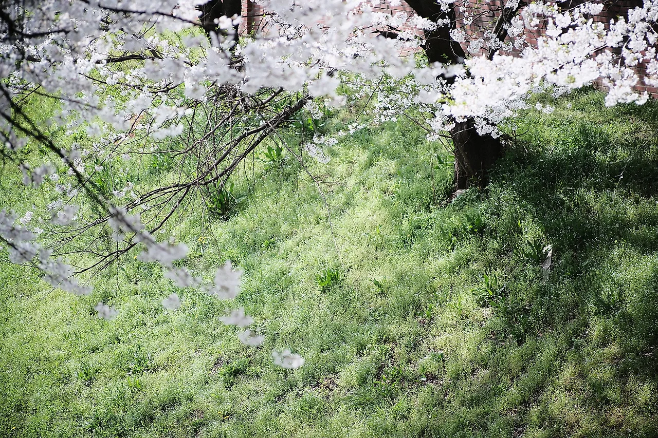 DSCF6952.jpg?type=w1600