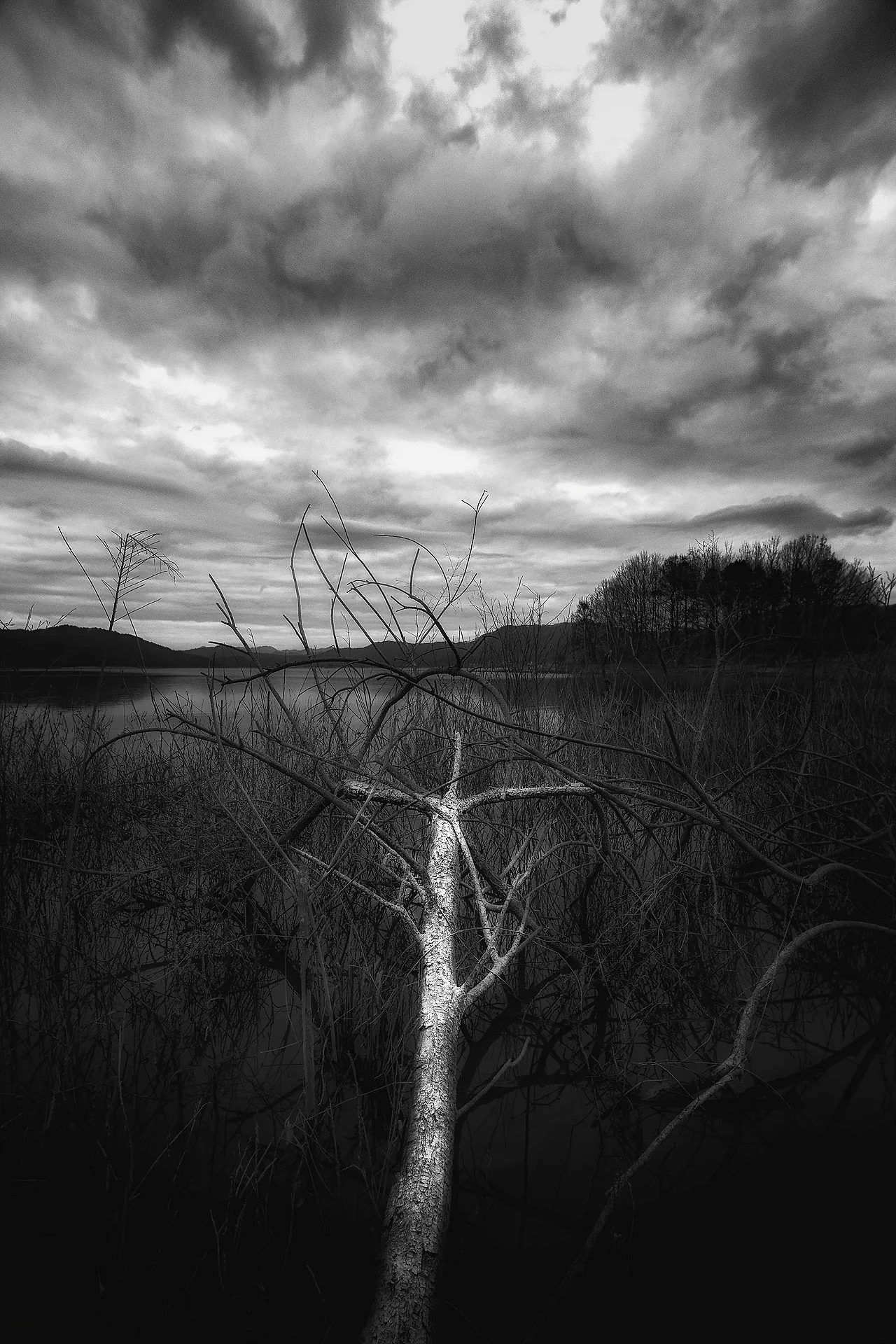 KakaoTalk_20240623_223552073.jpg?type=w1600