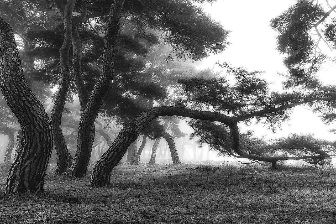 DSC09962_%EB%B3%B5%EC%82%AC.jpg?type=w1600