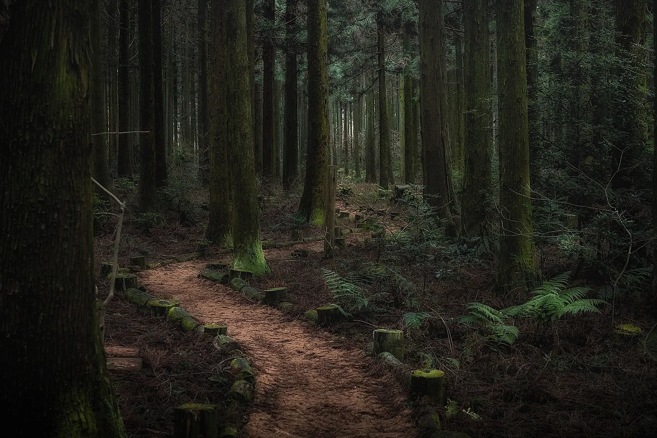 DSC00080.jpg?type=w1600