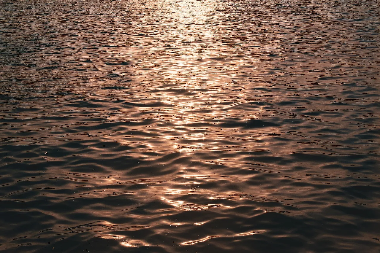 KakaoTalk_20210629_174325593.jpg?type=w1600