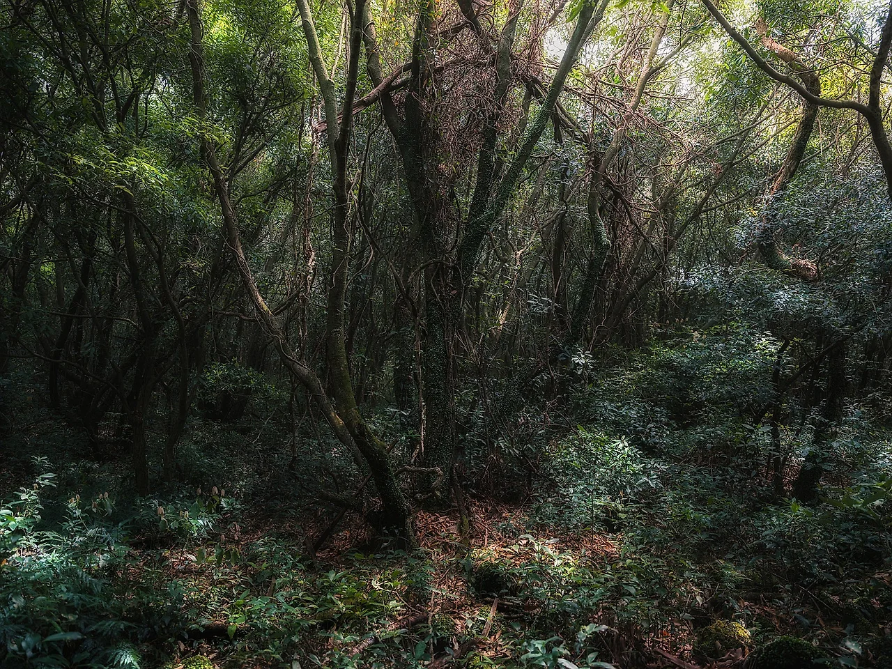 DSCF1765.jpg?type=w1600