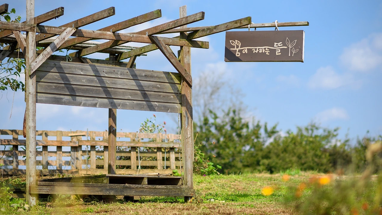 GCF카임펠 - 42.jpeg