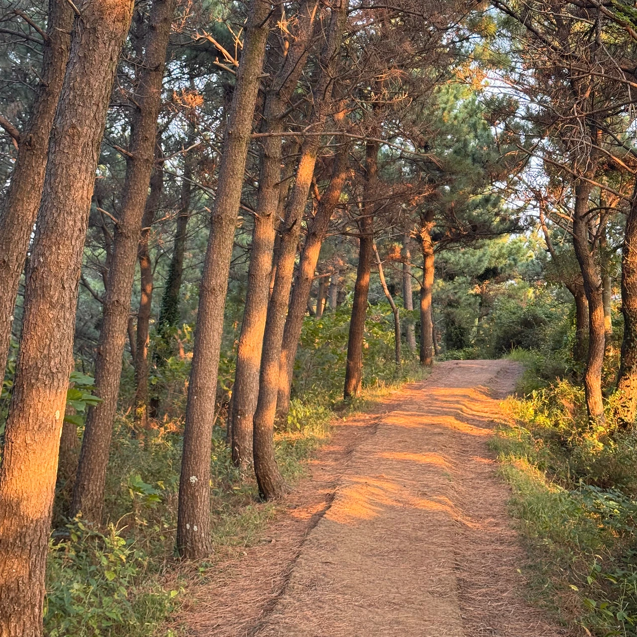 KakaoTalk_Photo_2025-02-04-13-12-07 002.jpeg