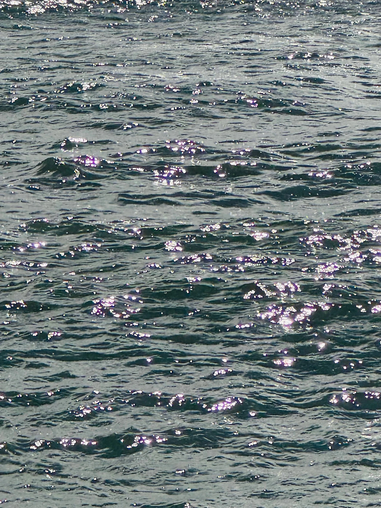 KakaoTalk_Photo_2025-02-04-13-12-06 001.jpeg