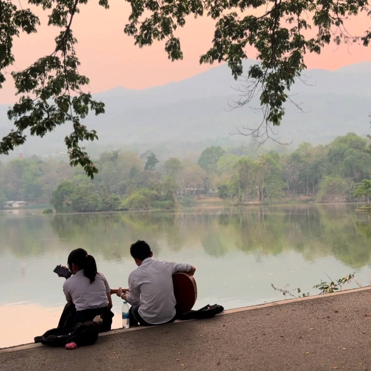 최근 사진 보기.jpeg