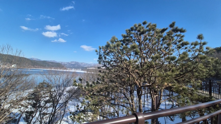 900%EF%BC%BF20250209%EF%BC%BF145926.jpg?type=w966