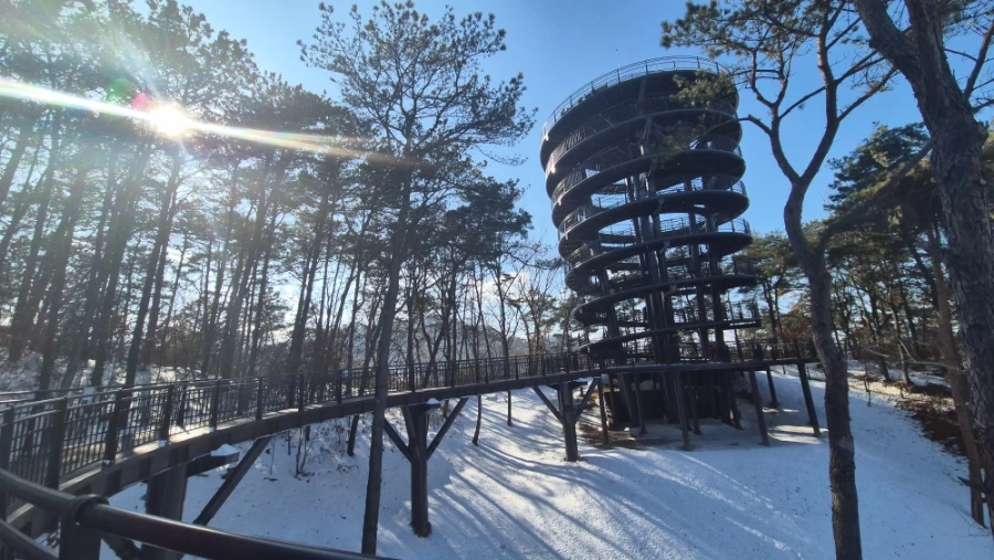 900%EF%BC%BF20250209%EF%BC%BF150052.jpg?type=w966