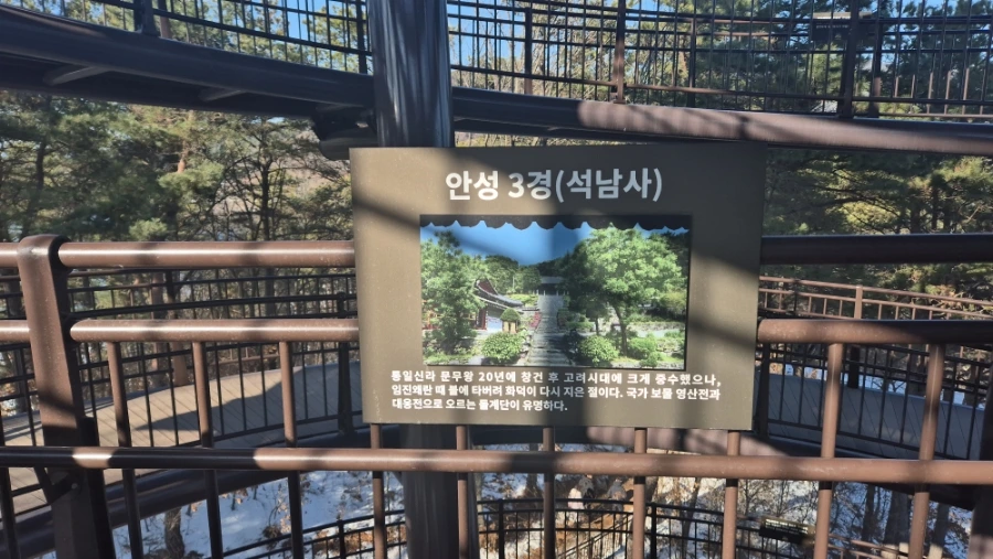 900%EF%BC%BF20250209%EF%BC%BF150329.jpg?type=w966