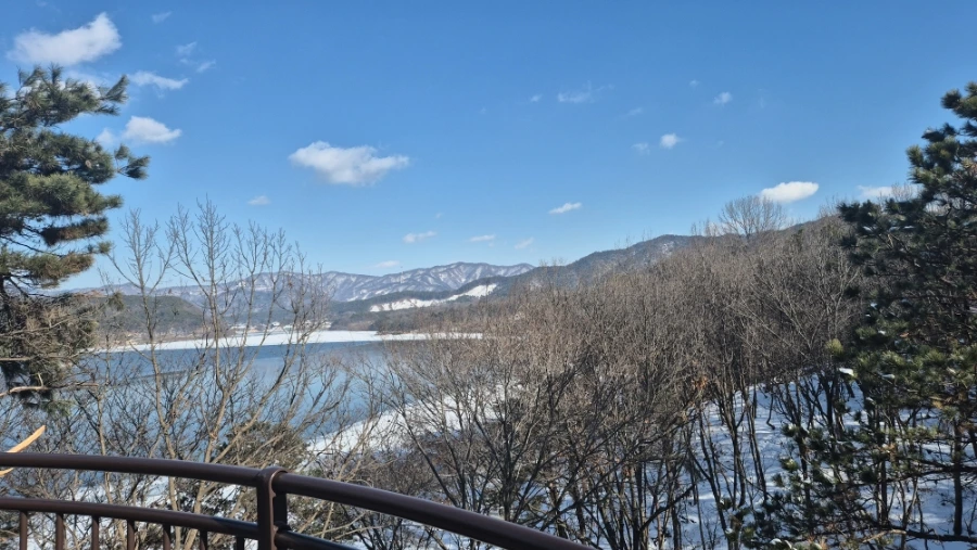 900%EF%BC%BF20250209%EF%BC%BF145917.jpg?type=w966