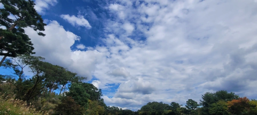 20241003%EF%BC%BF125905.jpg?type=w966