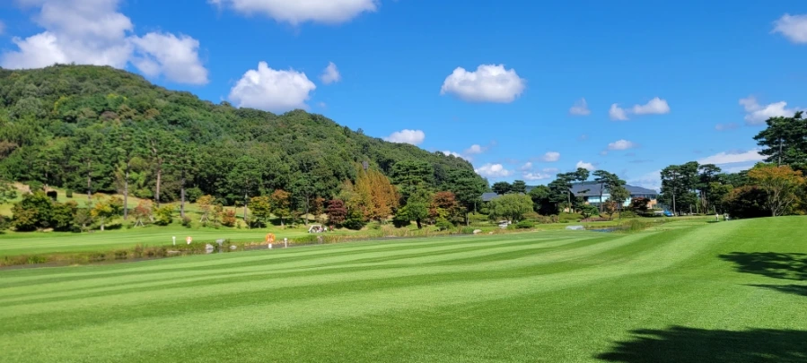 20241003%EF%BC%BF120111.jpg?type=w966