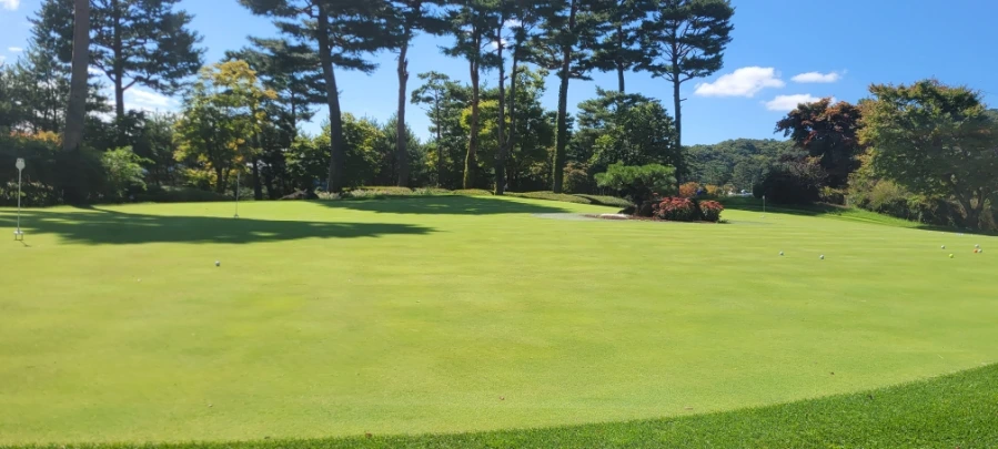 20241003%EF%BC%BF114132.jpg?type=w966