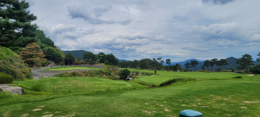 20241003%EF%BC%BF132538.jpg?type=w966