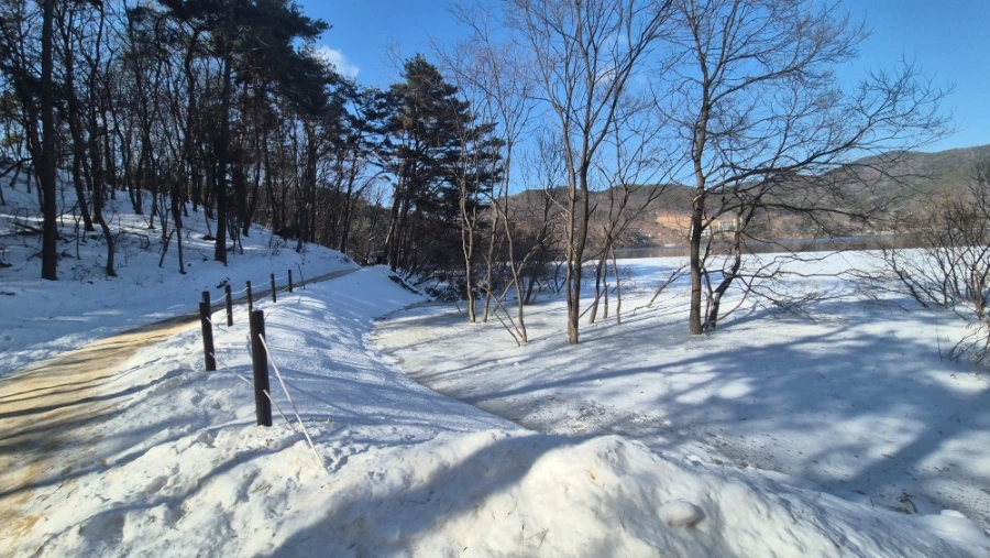 900%EF%BC%BF20250209%EF%BC%BF144751.jpg?type=w1