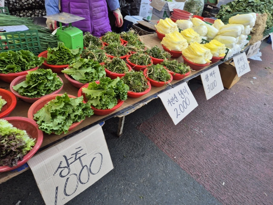 900%EF%BC%BF20250308%EF%BC%BF115855.jpg?type=w966