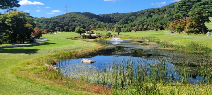 20241003%EF%BC%BF115023.jpg?type=w966