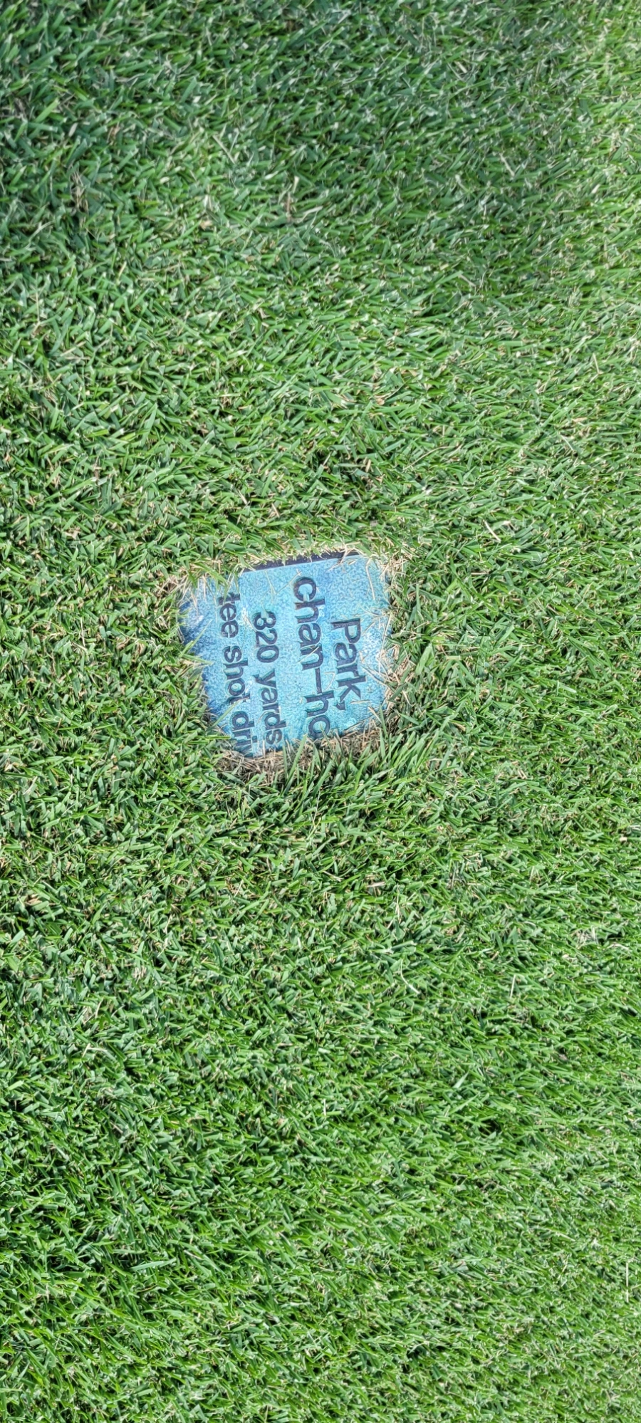 20241003%EF%BC%BF121846.jpg?type=w966