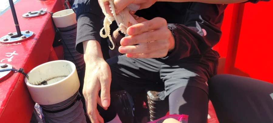 20240929%EF%BC%BF102810.jpg?type=w1