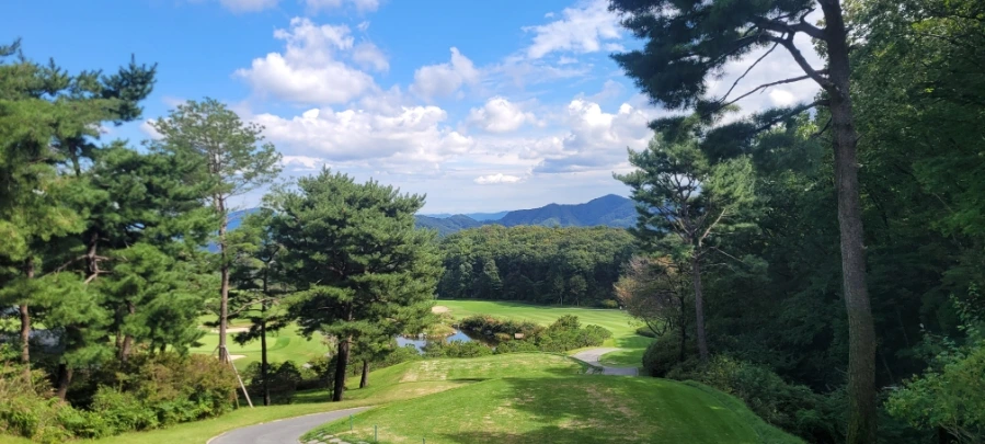 20241003%EF%BC%BF123821.jpg?type=w966