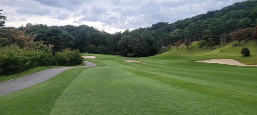 20241003%EF%BC%BF155122.jpg?type=w966