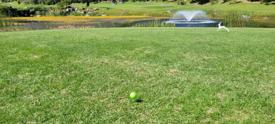 20241003%EF%BC%BF115259.jpg?type=w966