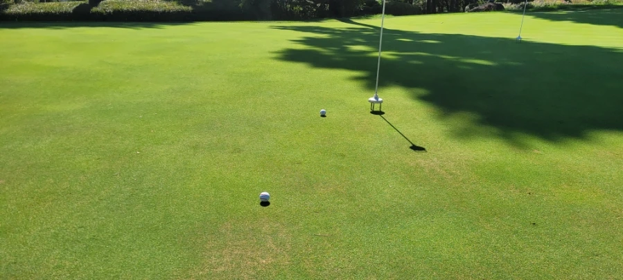 20241003%EF%BC%BF114151.jpg?type=w966