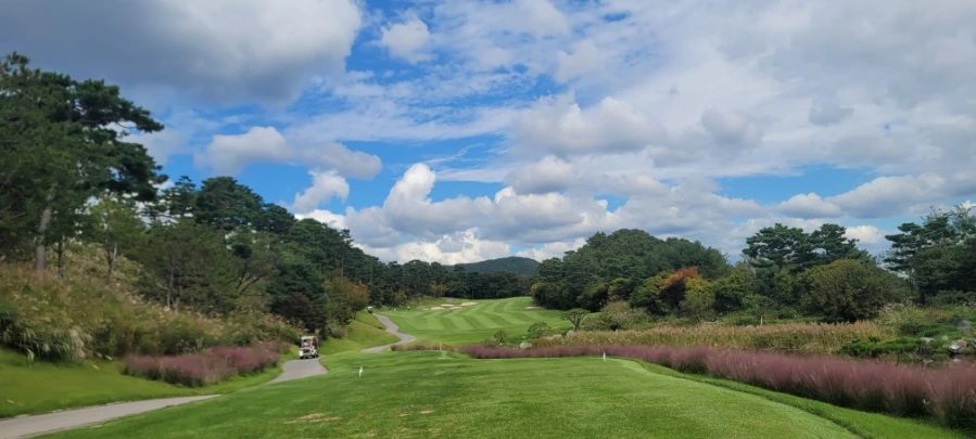 20241003%EF%BC%BF125445.jpg?type=w966