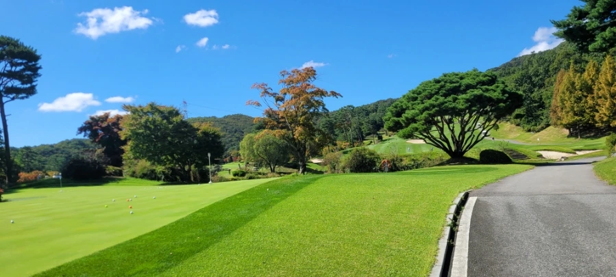 20241003%EF%BC%BF114130.jpg?type=w966