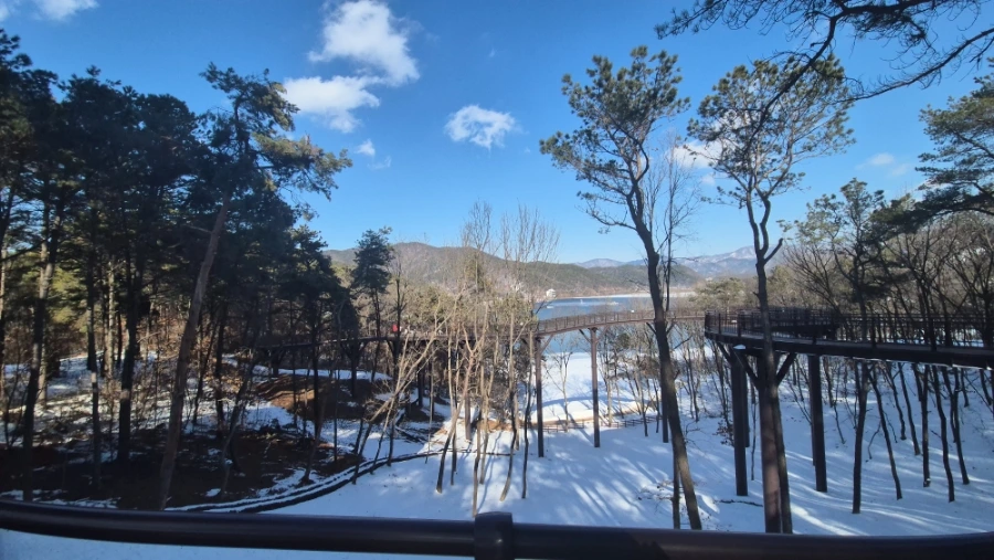 900%EF%BC%BF20250209%EF%BC%BF150117.jpg?type=w966