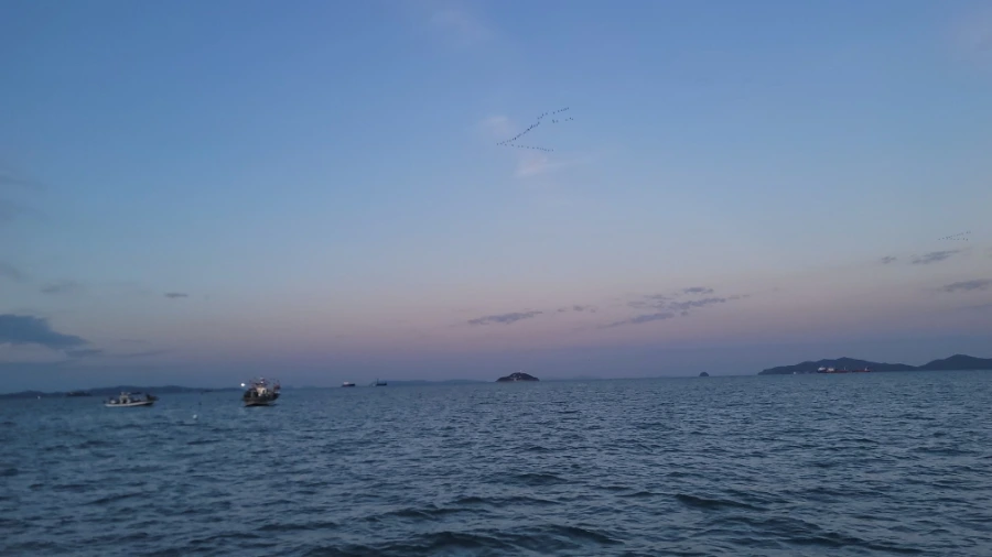 20240929%EF%BC%BF063132.jpg?type=w1