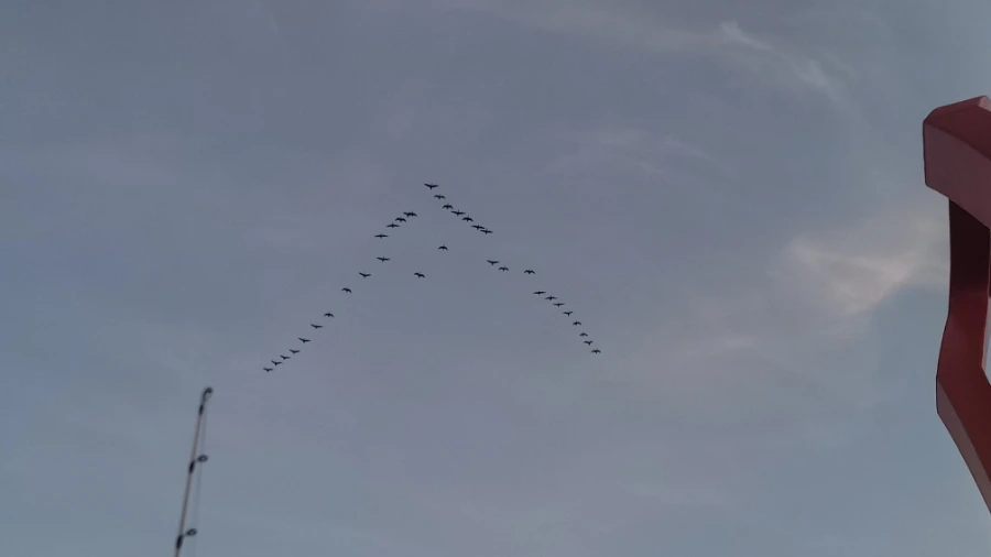 20240929%EF%BC%BF063056.jpg?type=w1