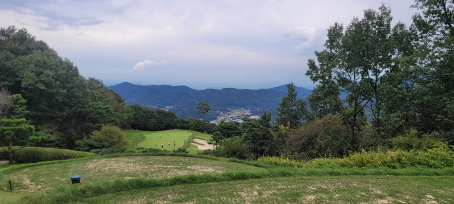 20241003%EF%BC%BF153506.jpg?type=w966