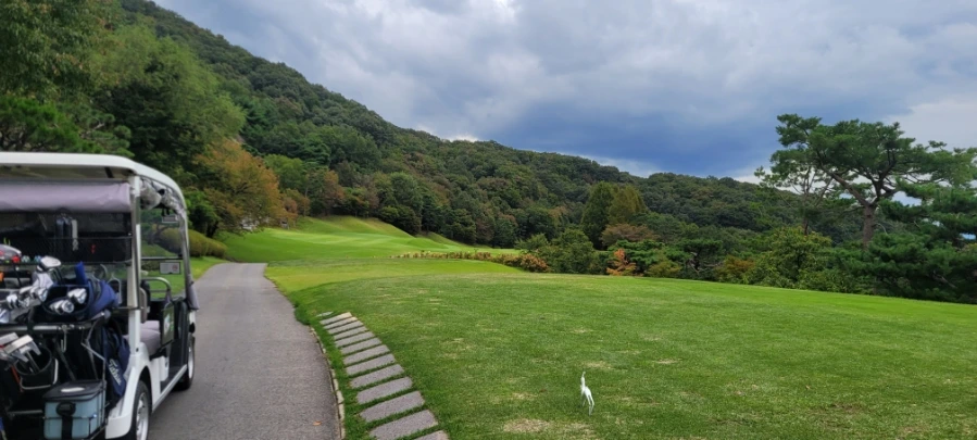 20241003%EF%BC%BF152118.jpg?type=w966