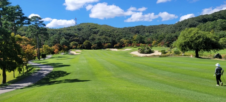 20241003%EF%BC%BF115850.jpg?type=w966