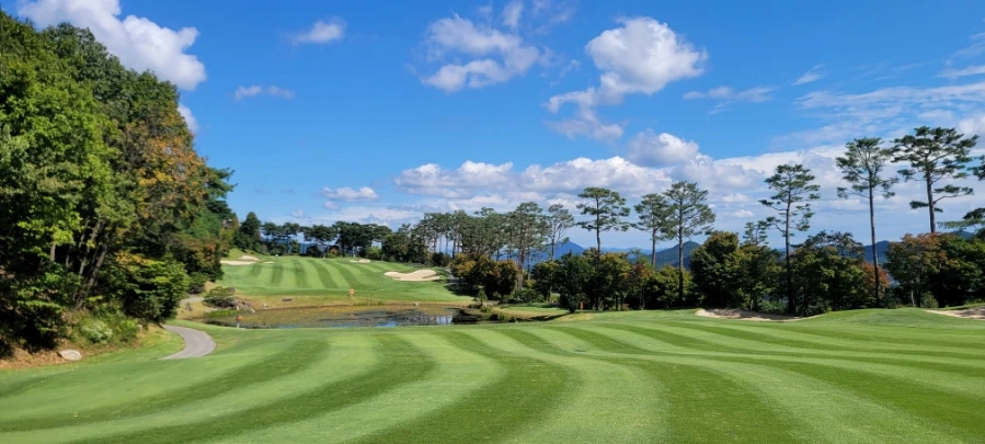 20241003%EF%BC%BF121446.jpg?type=w966