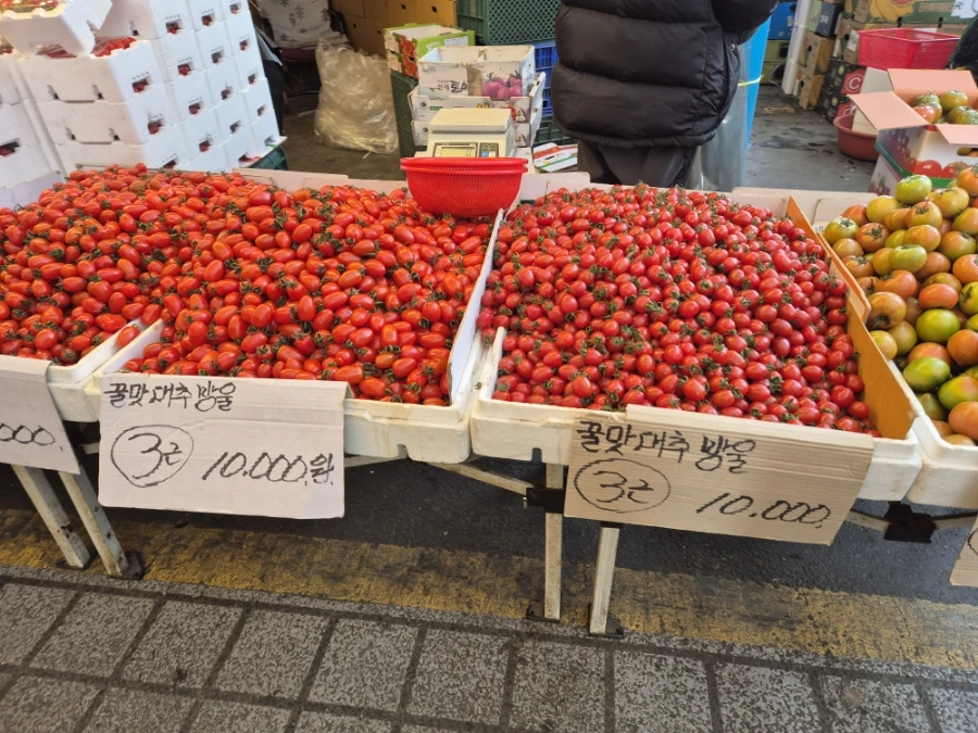 900%EF%BC%BF20250308%EF%BC%BF115905.jpg?type=w966