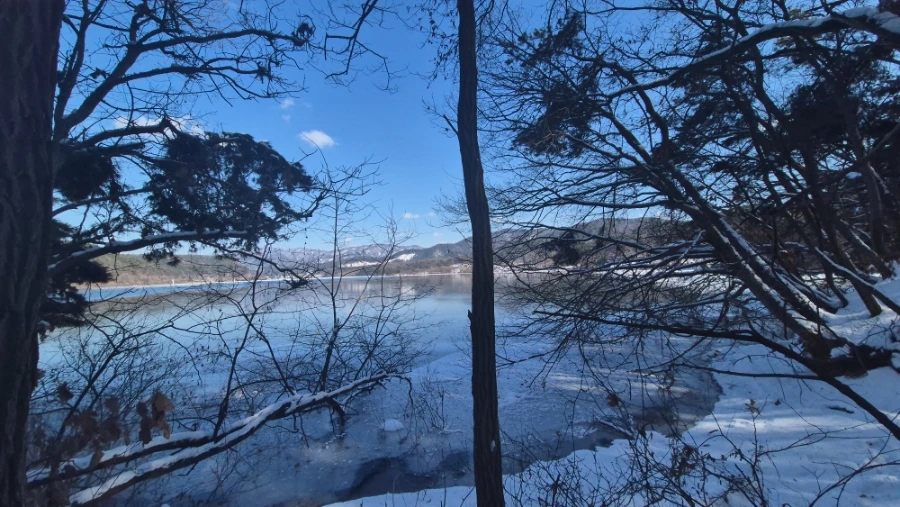 900%EF%BC%BF20250209%EF%BC%BF145317.jpg?type=w1