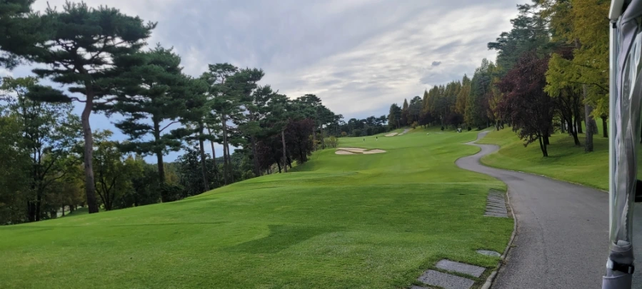 20241003%EF%BC%BF134910.jpg?type=w966