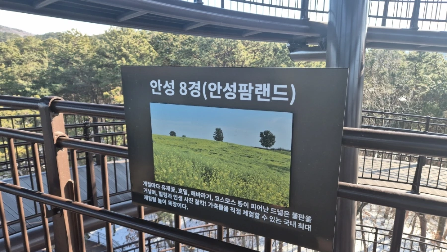 900%EF%BC%BF20250209%EF%BC%BF150607.jpg?type=w966