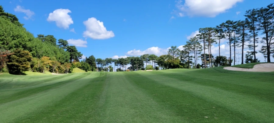 20241003%EF%BC%BF121815.jpg?type=w966