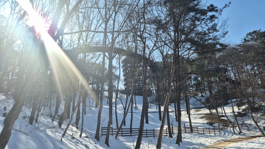 900%EF%BC%BF20250209%EF%BC%BF144935.jpg?type=w1