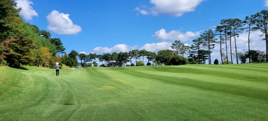 20241003%EF%BC%BF121848.jpg?type=w966